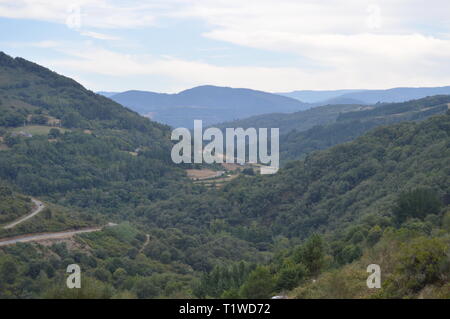 Galiziano grandi boschi di pini ed eucalipti nelle montagne vicino a Navia De Suarna. Natura, architettura, storia, street photography. Agosto 2 Foto Stock