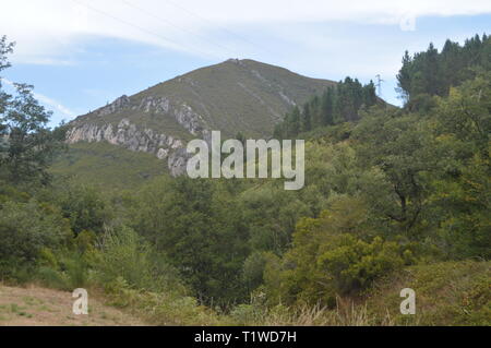 Galiziano grandi boschi di pini ed eucalipti nelle montagne vicino a Navia De Suarna. Natura, architettura, storia, street photography. Agosto 2 Foto Stock