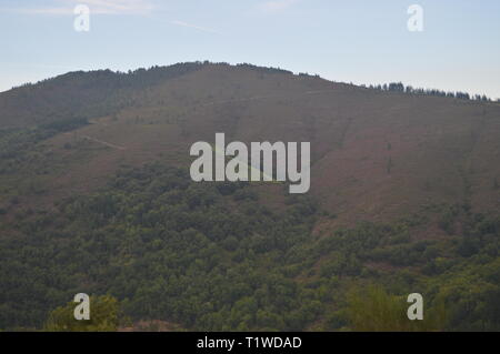 Galiziano grandi boschi di pini ed eucalipti nelle montagne vicino a Navia De Suarna. Natura, architettura, storia, street photography. Agosto 2 Foto Stock