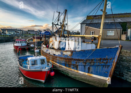 Questa è una foto di vecchie e nuove barche ormeggiate in un porto in Irlanda Foto Stock