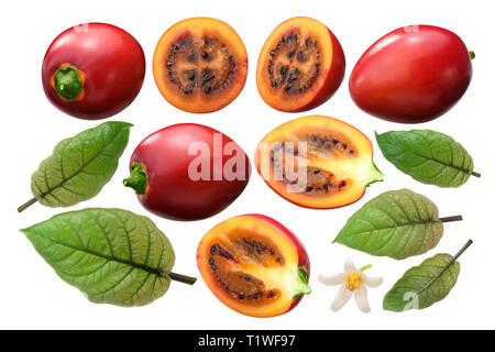 Tamarillo (Solanum betaceum) frutta, foglie, fiori come elementi Foto Stock