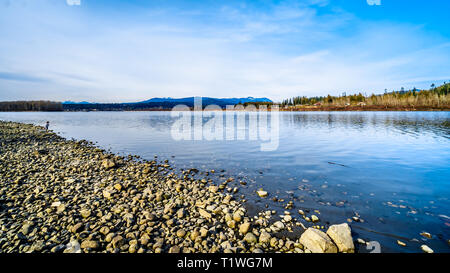 Il Fraser Fiume sulla riva del Glen Valley Regional Park vicino alla cittadina di Fort Langley, British Columbia, Canada su una bella giornata invernale Foto Stock