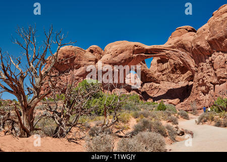 Il doppio arco nel Parco Nazionale di Arches, Moab, Utah, USA, America del Nord Foto Stock