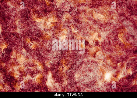 Texture di wooly materiale di feltro. Foto Stock