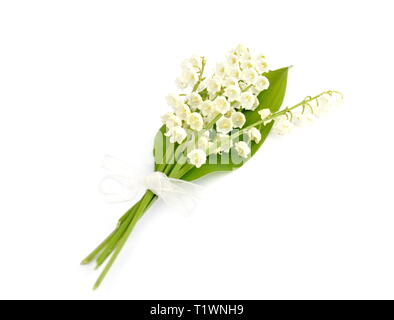 Bouquet di appena prelevato il giglio della valle dei fiori avvolto in un nastro isolati su sfondo bianco Foto Stock