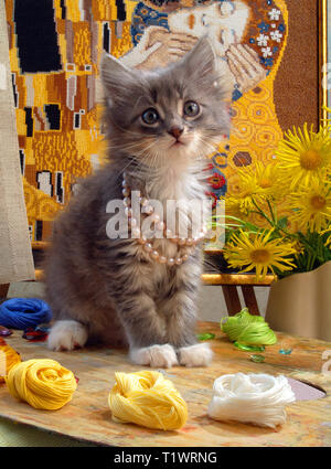 Il gattino grigio in granuli si siede su una tavolozza con multi-fili colorati per il ricamo. Foto Stock