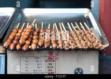 Grill e fritto silkworm pupe su bastoni in Wangfujing street, una strada dello shopping a Pechino in Cina Foto Stock