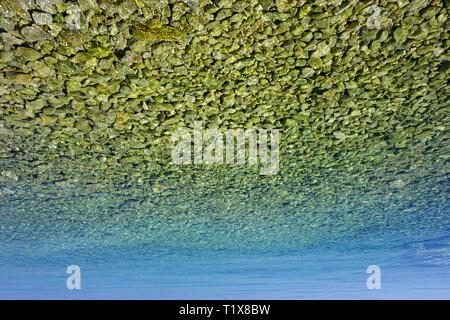 Abstract dimensione grande sfondo con ciottoli in acqua di mare, in turchese, il blu e il giallo del tono di colore e spazio di copia Foto Stock