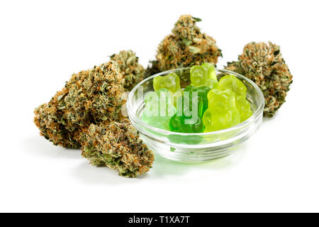 Ciotola trasparente riempita di orsi gommoso e marijuana germoglia isolato su uno sfondo bianco Foto Stock