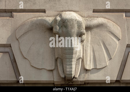 Stone carving nativo di elefante scolpito da Giuseppe Armitage in pietra di Portland su South African alto edificio della Commissione, Trafalgar Square, London, Regno Unito Foto Stock
