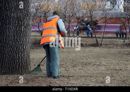 La pulizia lascia nella città, janitor donna spazzare il fogliame nella primavera del parco. Macchina spazzatrice stradale con rastrello a Mosca, il lavoro dei servizi comunali Foto Stock