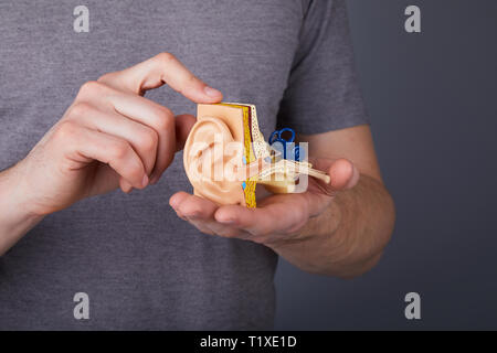 Uomo con il modello dell'orecchio interno umano nelle mani. Modello di orecchio. Un modello dell'orecchio per la scienza elementare classi. Foto Stock