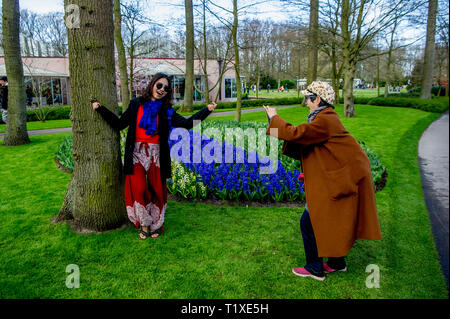 LISSE Flowerfiels in LIsse during the spring  copyrught robin utrecht Foto Stock
