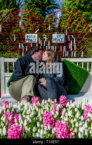 LISSE Flowerfiels in LIsse during the spring  copyrught robin utrecht Foto Stock