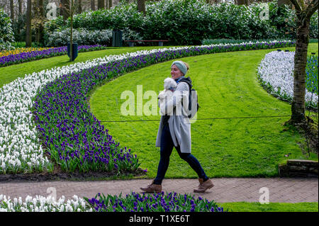 LISSE Flowerfiels in LIsse during the spring  copyrught robin utrecht Foto Stock