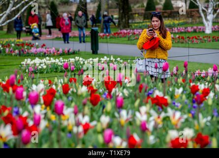 LISSE Flowerfiels in LIsse during the spring  copyrught robin utrecht Foto Stock