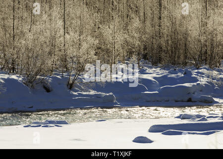 Flusso d'inverno vicino la speranza, Penisola di Kenai, Alaska Foto Stock