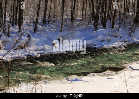 Flusso d'inverno vicino la speranza, Penisola di Kenai, Alaska Foto Stock