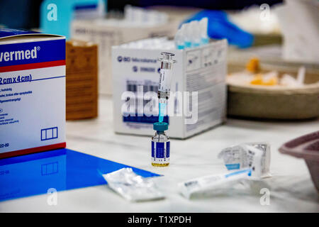 ROTTERDAM - Kinderen worden gevaccineerd tijdens een vaccinatiedag in Ahoy. Staatssecretaris Paolo Blokhuis (Volksgezondheid) wil met een vaccinatie-al Foto Stock