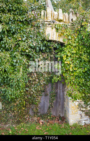 Porta con la vecchia porta in legno di quercia per il giardino segreto nascosto da arrampicata ricoperta di arbusti e foglie, il Costwolds, REGNO UNITO Foto Stock