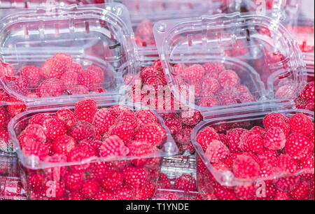 Frutta lampone nel pacchetto. Foto Stock