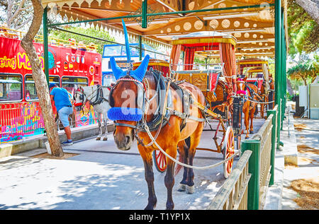 MDINA, Malta - 16 giugno 2018: Maltese Karozzin (carrozza trainata da cavalli) è il modo migliore per esplorare la fortezza di Mdina e godetevi il tour della città, il 16 giugno in Foto Stock