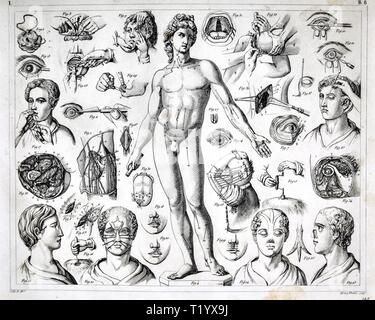 1849 Illustrazione medica di vari del XIX secolo le tecniche chirurgiche e le procedure Foto Stock