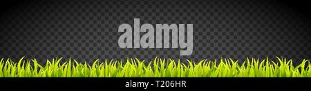 Banner di erba. I germogli di cereali. In primavera la crescita verde. Tappeto erboso verde strisce di sovrapposizione Illustrazione Vettoriale