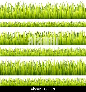 Fresco e verde erba linee di intestazione. La crescita di erbe overlay. Campo sportivo il rivestimento Illustrazione Vettoriale