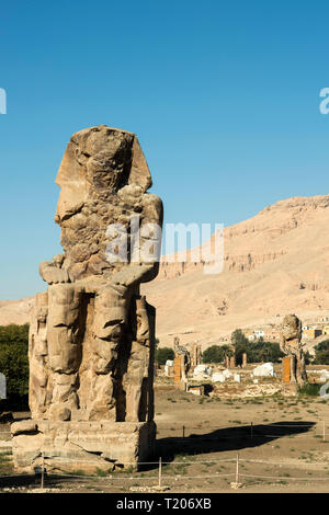 Ägypten, Luxor, Westbank, Memnonkolosse, Foto Stock