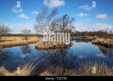 Cors Caron riserva 0 Foto Stock