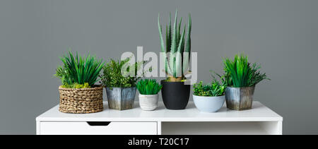 Casa di diverse piante in vaso sul tavolo bianco a sfondo grigio. Home Concetto di giardinaggio Foto Stock