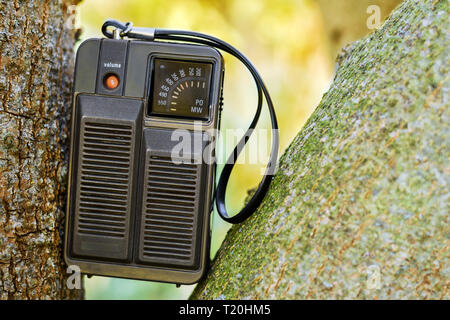 Un piccolo portatile palmare vintage transistor radio bloccati su un albero in natura. Foto Stock