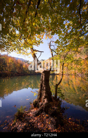 Lago in autunno a Yedigoller National Park Foto Stock