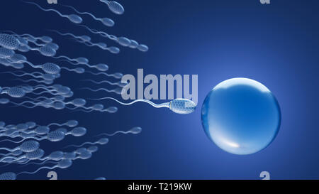 Il futuristico spermi sul modo per cellula uovo, rendering 3D Foto Stock
