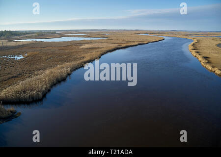 Stati Uniti d'America, Maryland, Cambridge, Blackwater National Wildlife Refuge, Blackwater fiume Blackwater rifugio sta vivendo l'innalzamento del livello del mare che si sta allagando thi Foto Stock