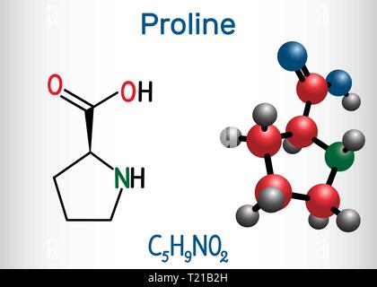 La prolina (L- prolina, Pro , P) proteinogenic amminoacido molecola. Formula chimica di struttura e la molecola modello. Illustrazione Vettoriale Illustrazione Vettoriale