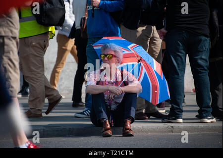 Londra, Regno Unito. 29 Mar, 2019. Sostenitore Pro-Leave frequentando un rally in piazza del Parlamento. Credito: Sandip Savasadia/Alamy Live News Foto Stock