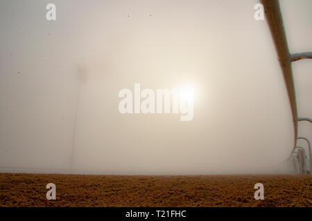 Meydan, Dubai, STATI UNITI D'AMERICA. 29 Mar, 2019. DUBAI, Emirati Arabi Uniti - 29 Marzo: Ippodromo di Meydan nella fitta nebbia su Marzo 29, 2019 a Dubai, Emirati Arabi Uniti. Kaz Ishida/Eclipse Sportswire/CSM/Alamy Live News Foto Stock