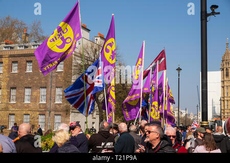 Westminster, Londra, Regno Unito. Il 29 marzo 2019, il giorno in cui il Regno Unito era dovuto a lasciare l'UE, UKIP bandiere e sostenitori assemblare su College Green come Parlamento dibattito l'accordo di ritiro. Credito: Scott Hortop/Alamy Live News. Foto Stock