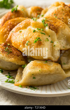 Fritte fatte in casa polacca Pierogis di patate con panna acida Foto Stock