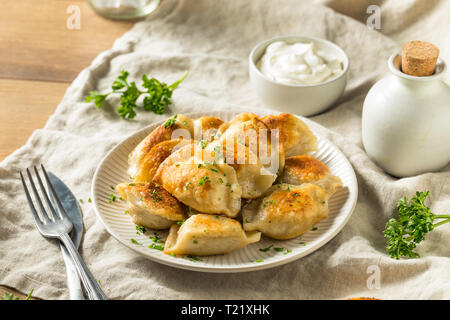 Fritte fatte in casa polacca Pierogis di patate con panna acida Foto Stock