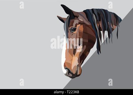 Marrone testa di cavallo su sfondo grigio Illustrazione Vettoriale