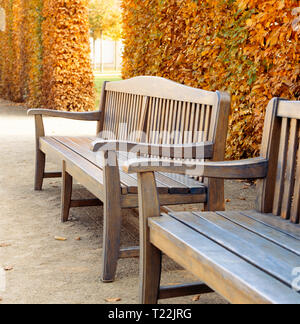 Legno vuote panchine e siepi in giardino Wallenstein, Mala Strana, Praga, Repubblica Ceca. Bella, classico giardino europeo di design. Foto Stock