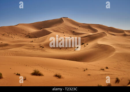Il Marocco, dune del deserto Foto Stock