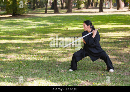 Arti marziali sword master praticanti in natura. Foto Stock