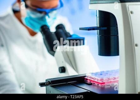 Cellula staminale ricercatore che lavora in laboratorio. Foto Stock