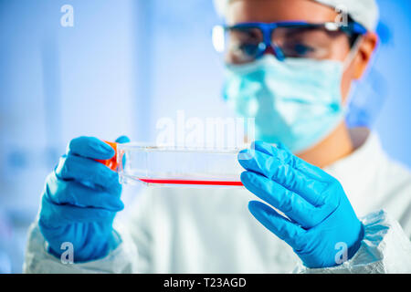 Laboratorio di Biologia, scienziato che lavora con una coltura cellulare. Foto Stock