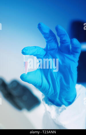 Mano azienda campione di test in laboratorio, guanti blu. Foto Stock