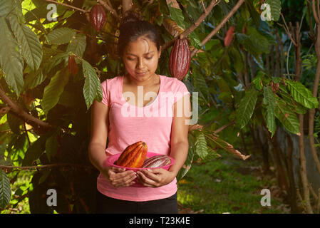 Agricoltore ragazza con cacao Cialde in estate sfondo soleggiato Foto Stock